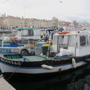 marseille08.jpg