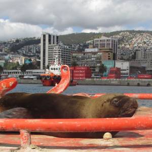 valparaiso09.jpg