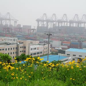 shanghai04.jpg