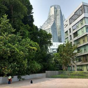 singapore08.jpg